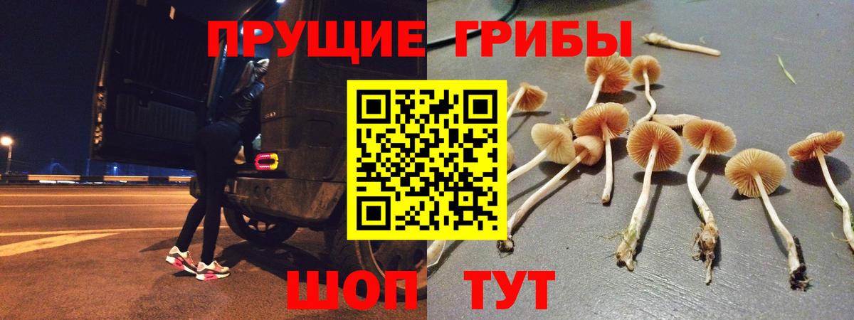 Псилоцибиновые грибы Psilocybine cubensis  Галлюциногенные грибы Psilocybe  Нижнекамск  Вход с VPN 