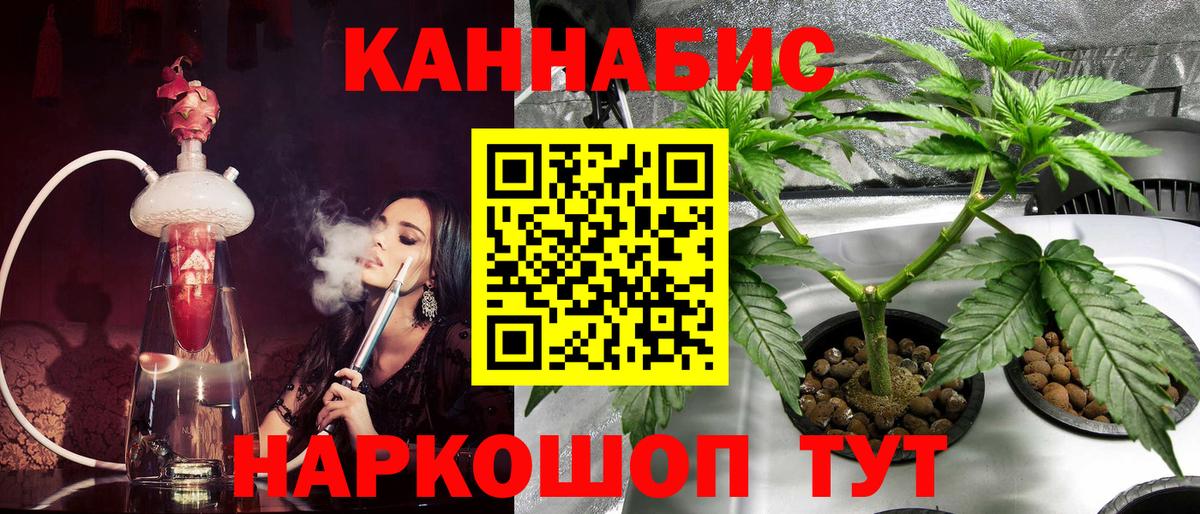 Бошки Шишки планчик Нижнекамск